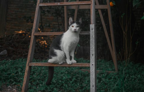 Immobilienwert steigern: So macht ein Fitnessraum Ihr Zuhause attraktiver!